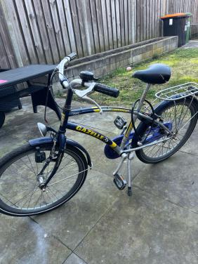 Gazelle Shark 24 inc