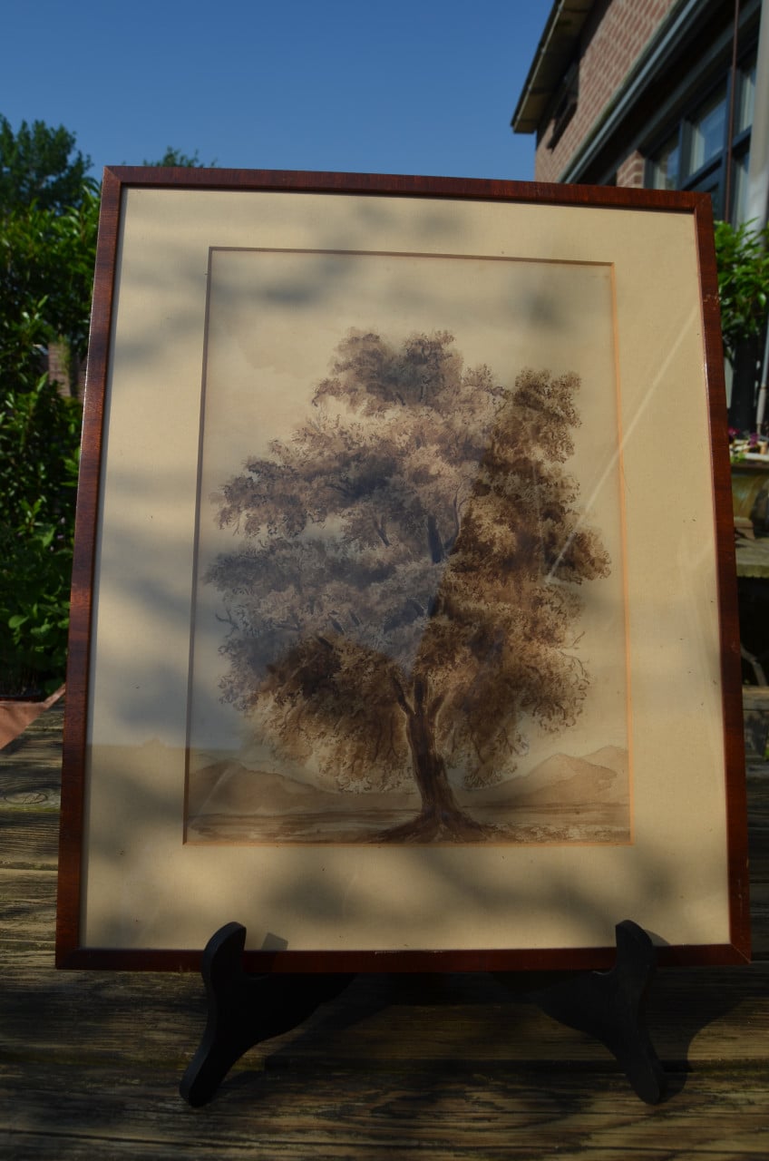 Duitse boom aquarel?
