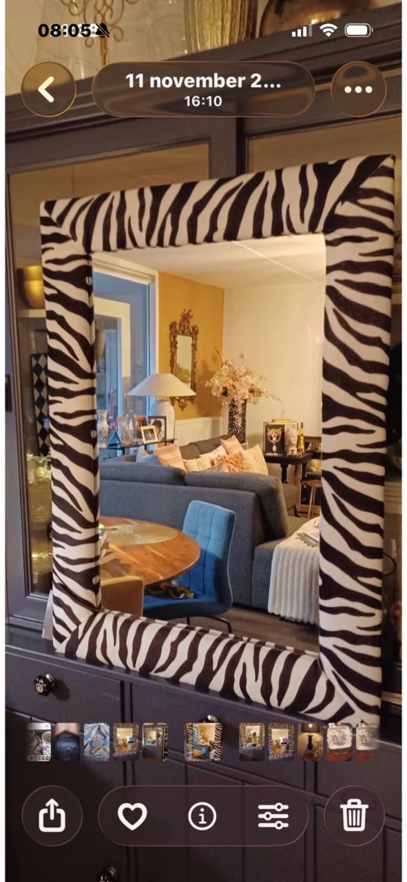 Grote spiegel in zebra-print omlijsting