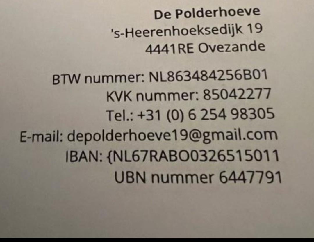 FATTORIA DEL BASOTTO teckel kennel