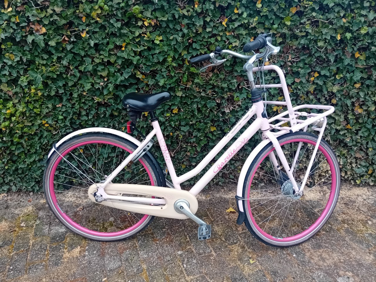 Fietsen