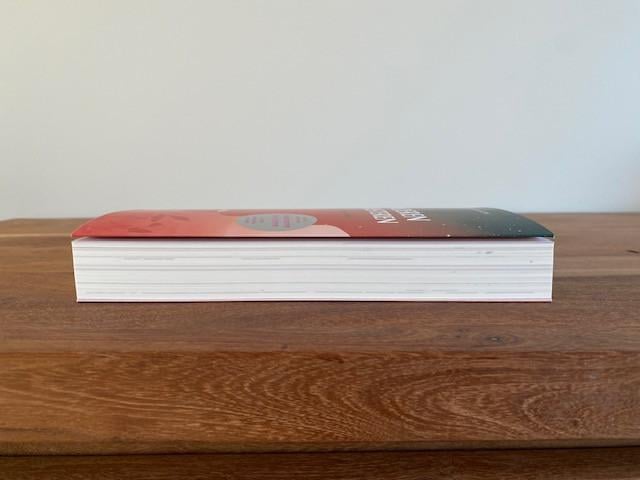 Nieuw | Wonderen manifesteren | Willemijn Welten