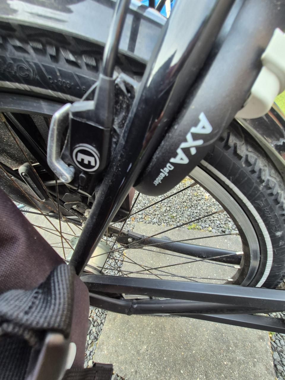 Pegasus Premio 55 Herenfiets