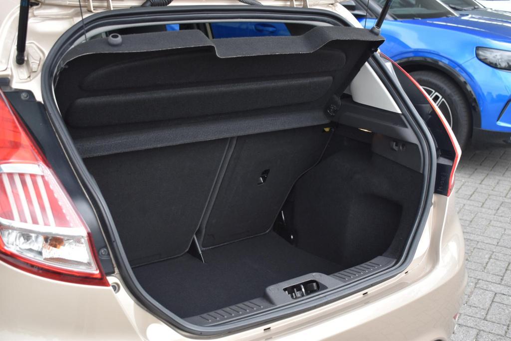Ford Fiesta 1.0 ecoboost titanium | climate control | cruise control | trek