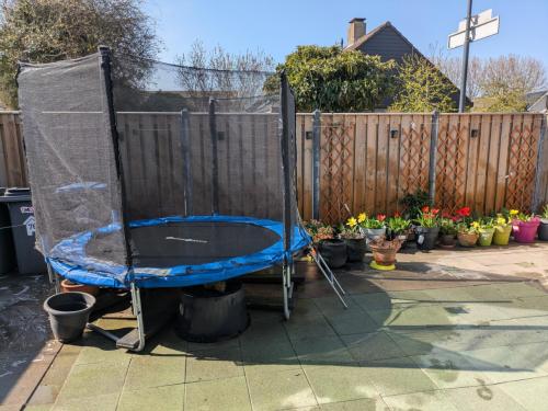 Viking Choice Trampoline 244 cm Blauw - Incl. Veiligheidsnet & Ladder