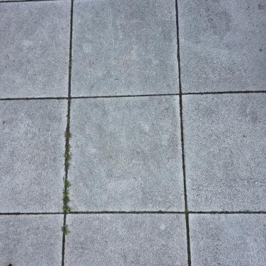 Witte en creme kleurige terrastegels