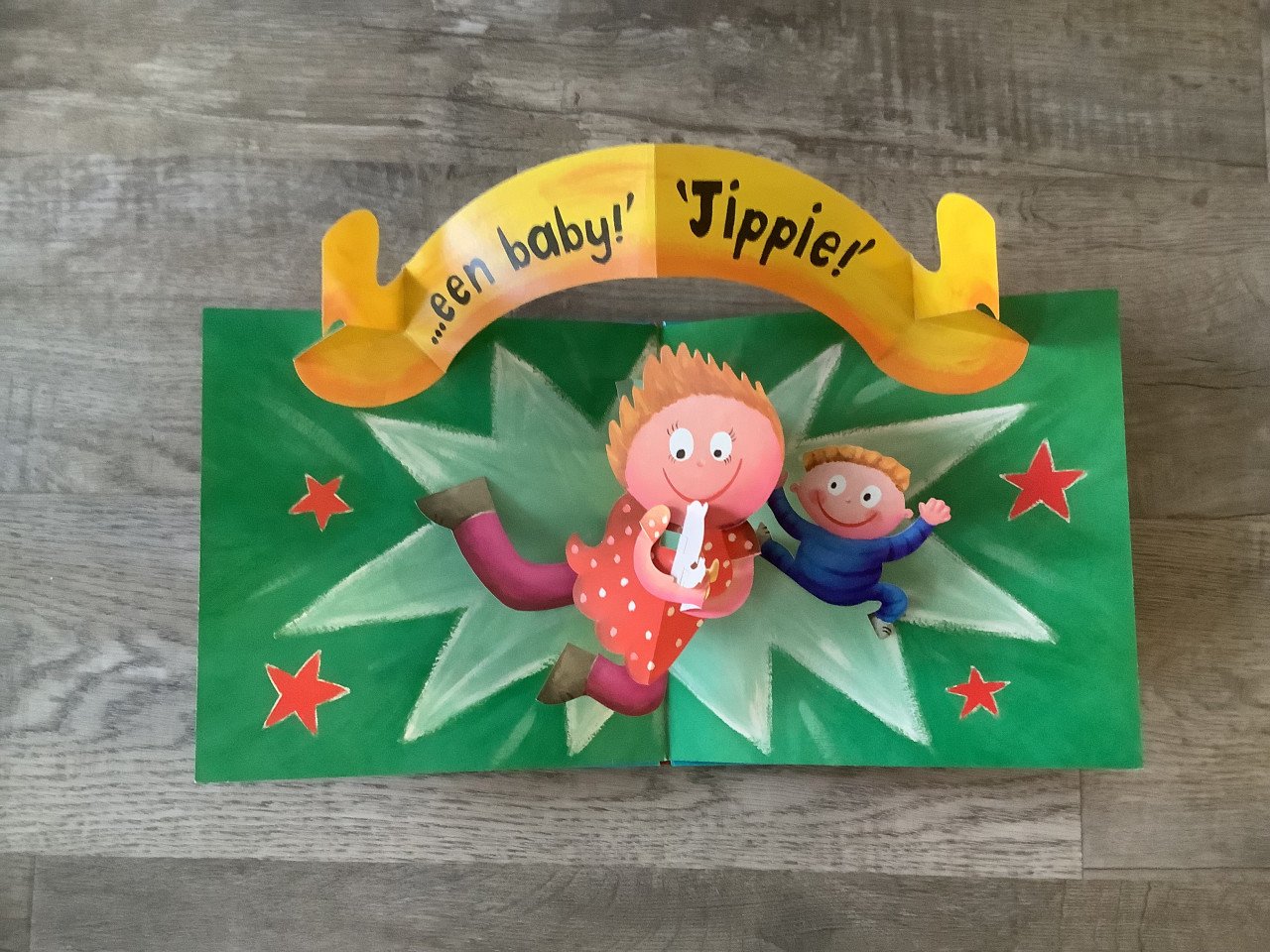 Boek: Wat zit er in je buik mama?