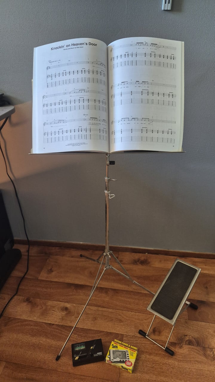 SX Elektrische Gitaar (complete set)