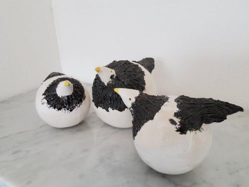 3 vrolijke vogels