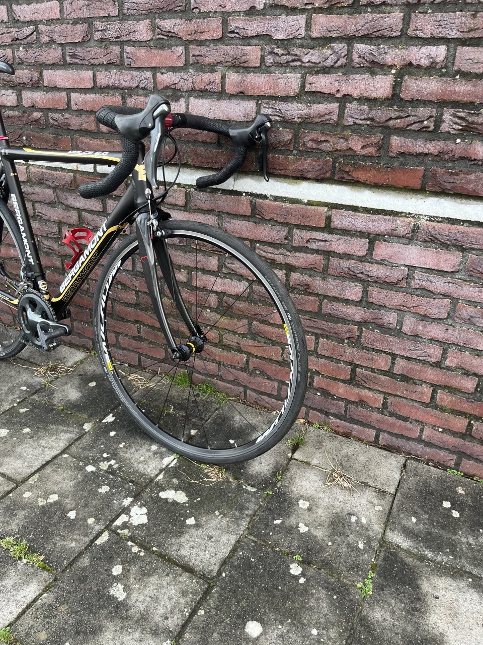 Bergamont Dolce 6.0 56 cm