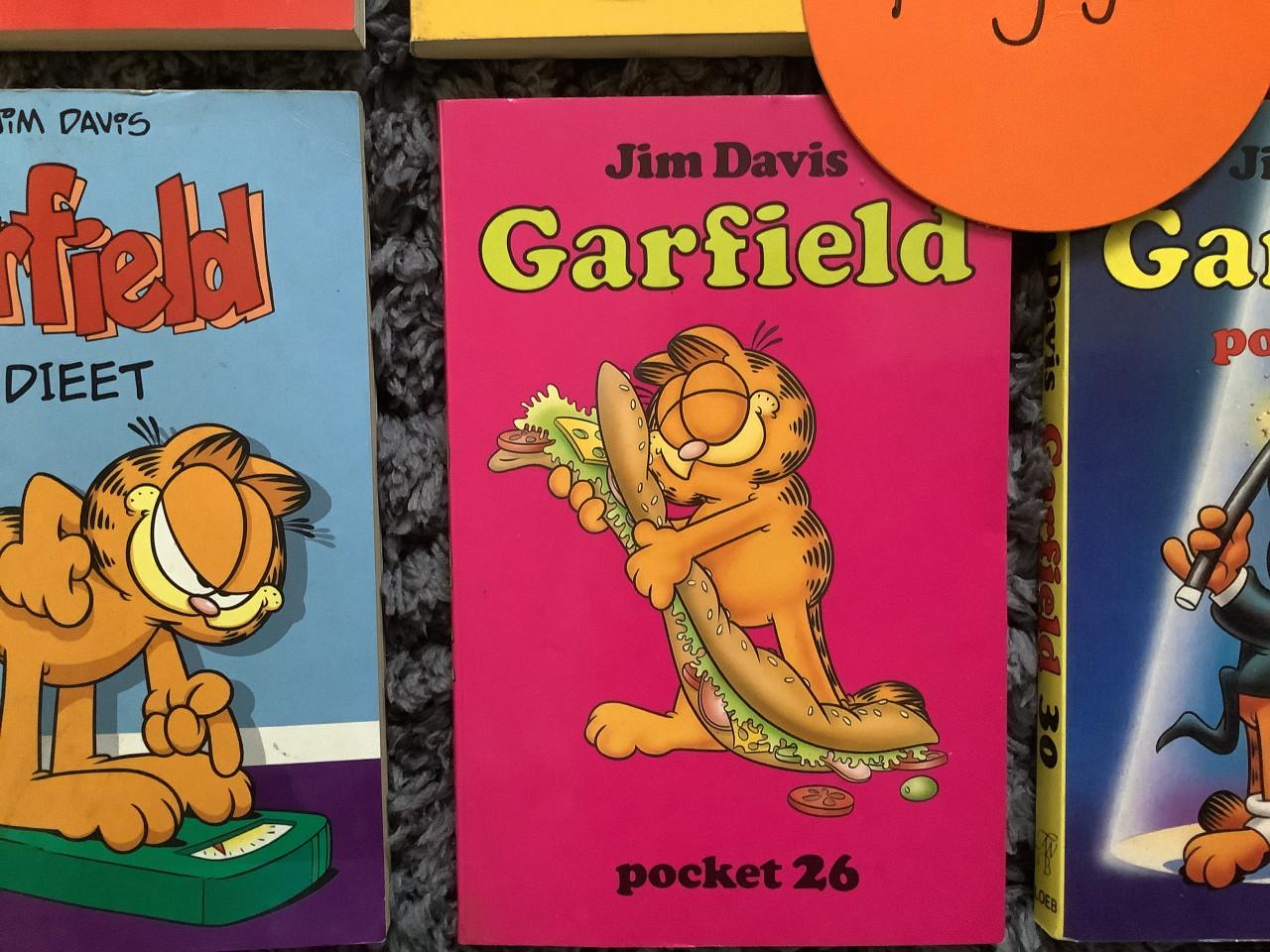 Partij leuke Garfield pockets. ( partij 90)