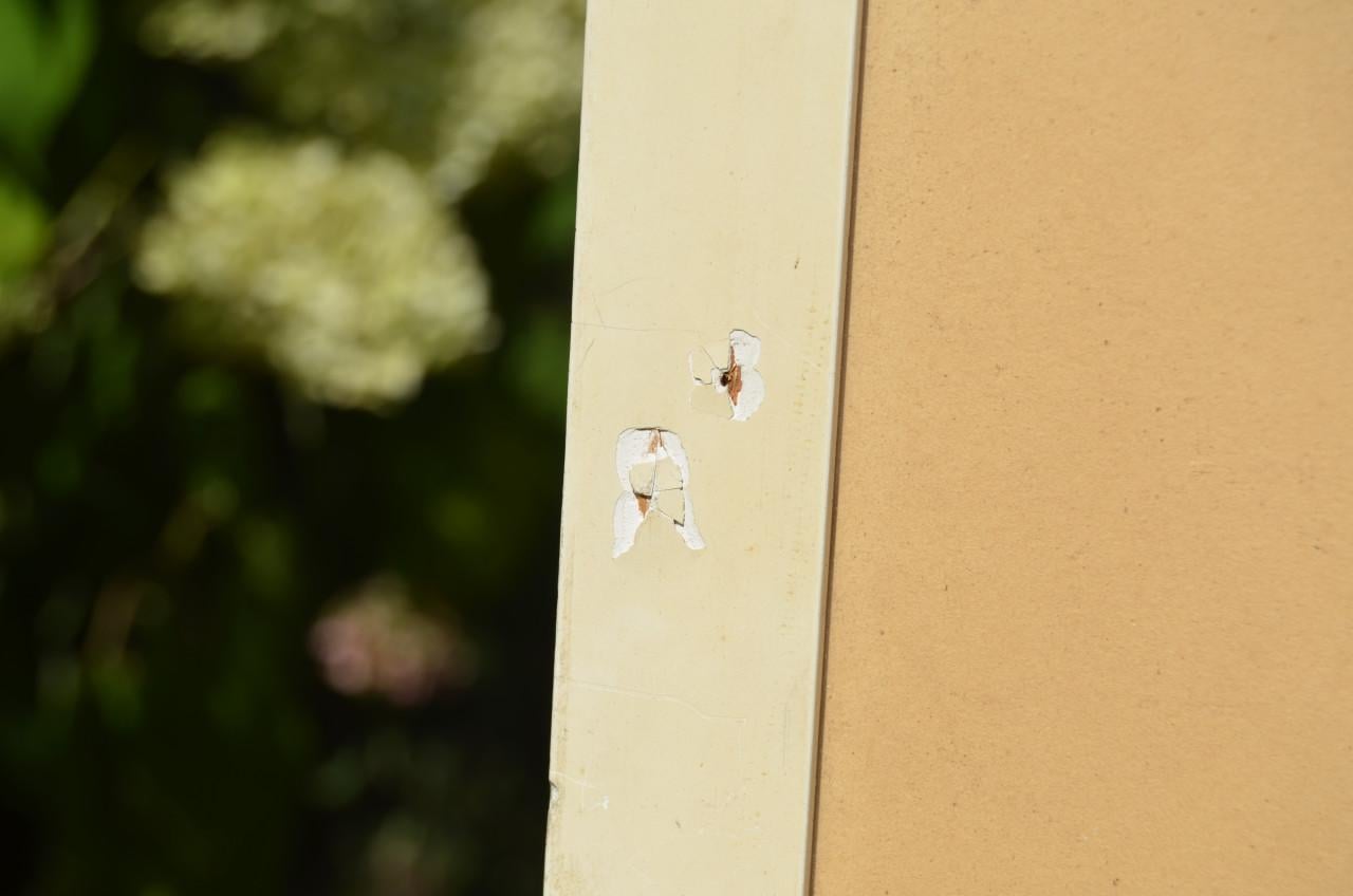 Aquarel Herfstbos aan het water C. Weidner Ballego