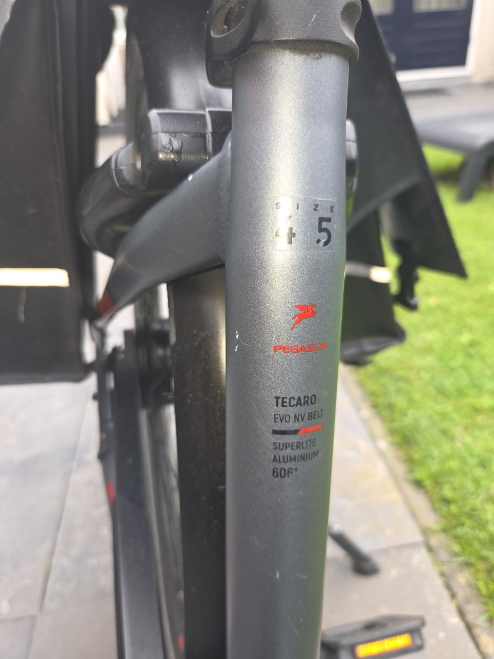 Pegasus Tecaro EVO belt drive e-bike