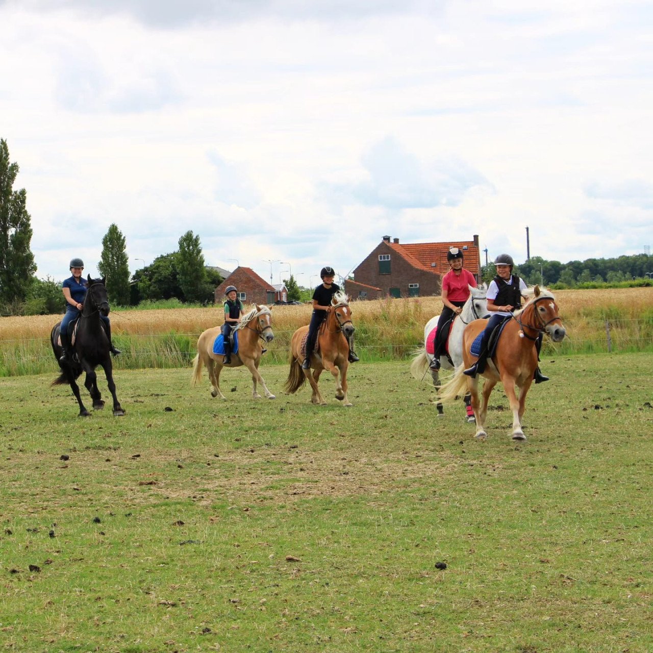 Ponykamp In Middelburg!