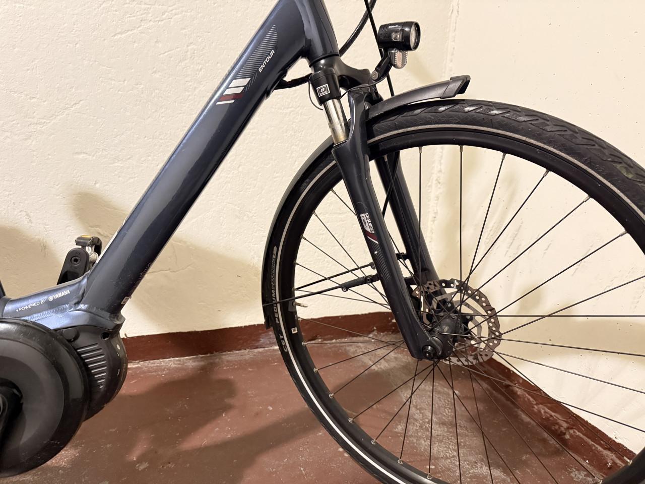 In nieuwe staat Giant Damesfiets met 2 accu’s
