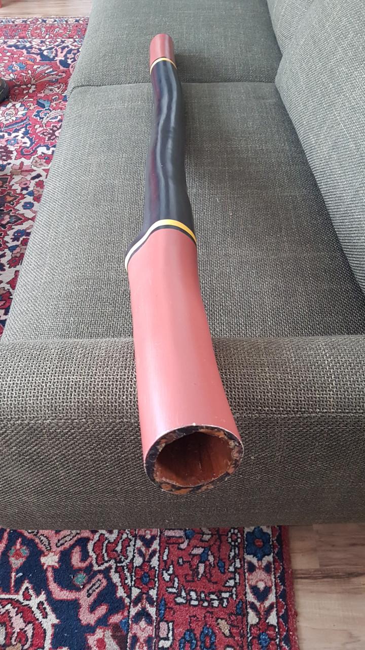 Didgeridoo handgemaakt Eucalyptushout
