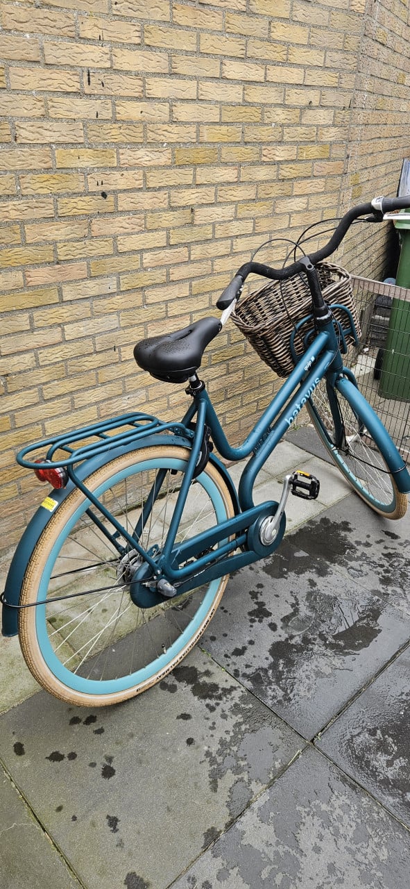 Batavus quip