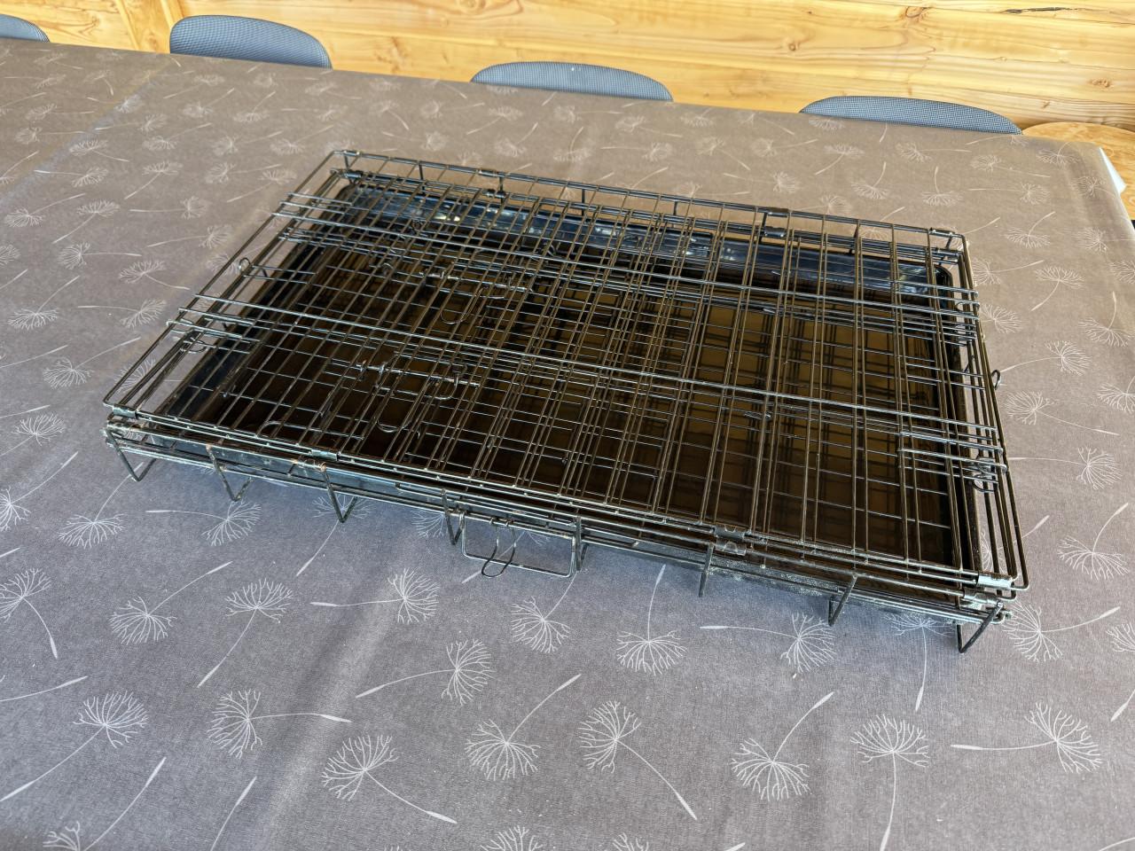 Bench (hond of kat)
