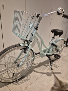 Meisjesfiets nieuw 20inch