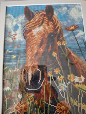 Diamond painting picture