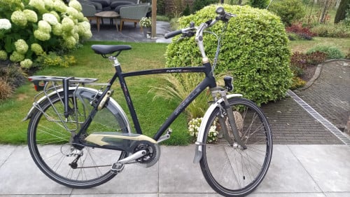 Gazelle fuente xtra