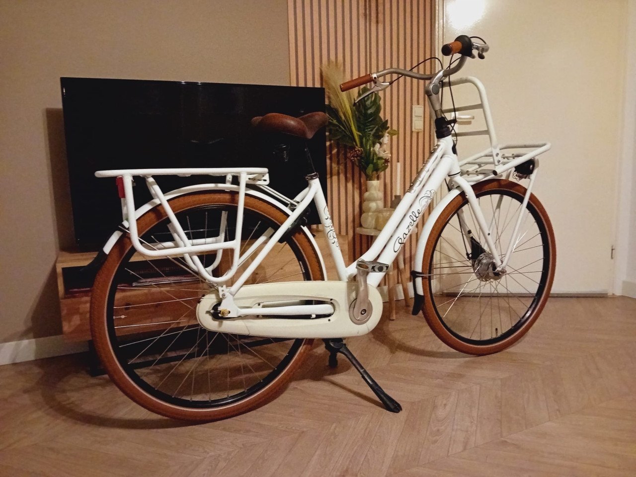 Mooie Gazelle Miss Grace Z.G.A.N.