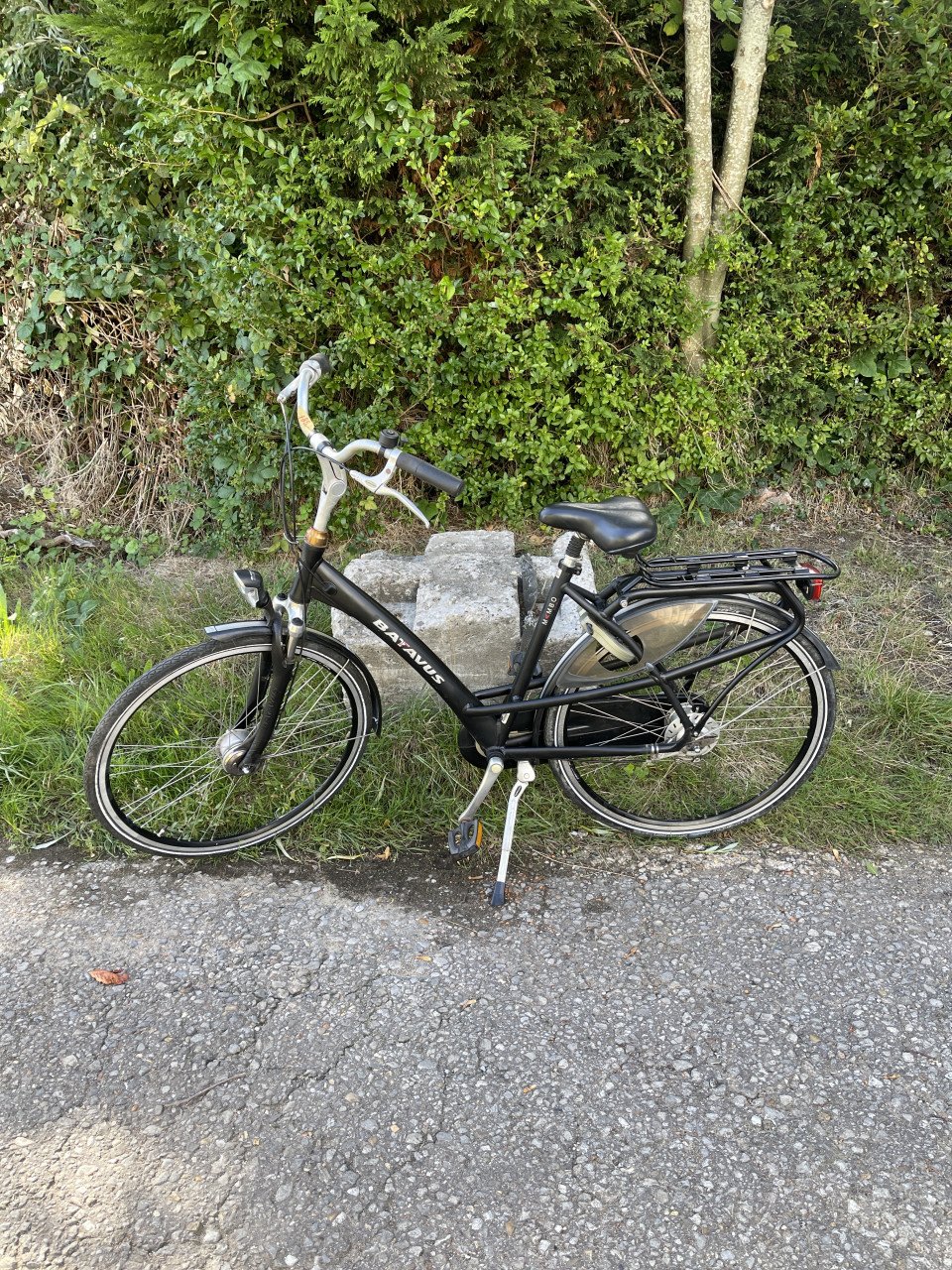 Tekoop Batavus mambo