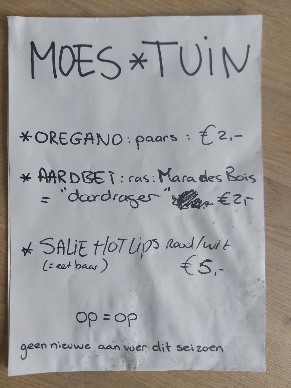 TK: AARDBEIEN PLANTEN, SIERTUIN + MOESTUIN PLANTEN BIJ DE VOORDEUR