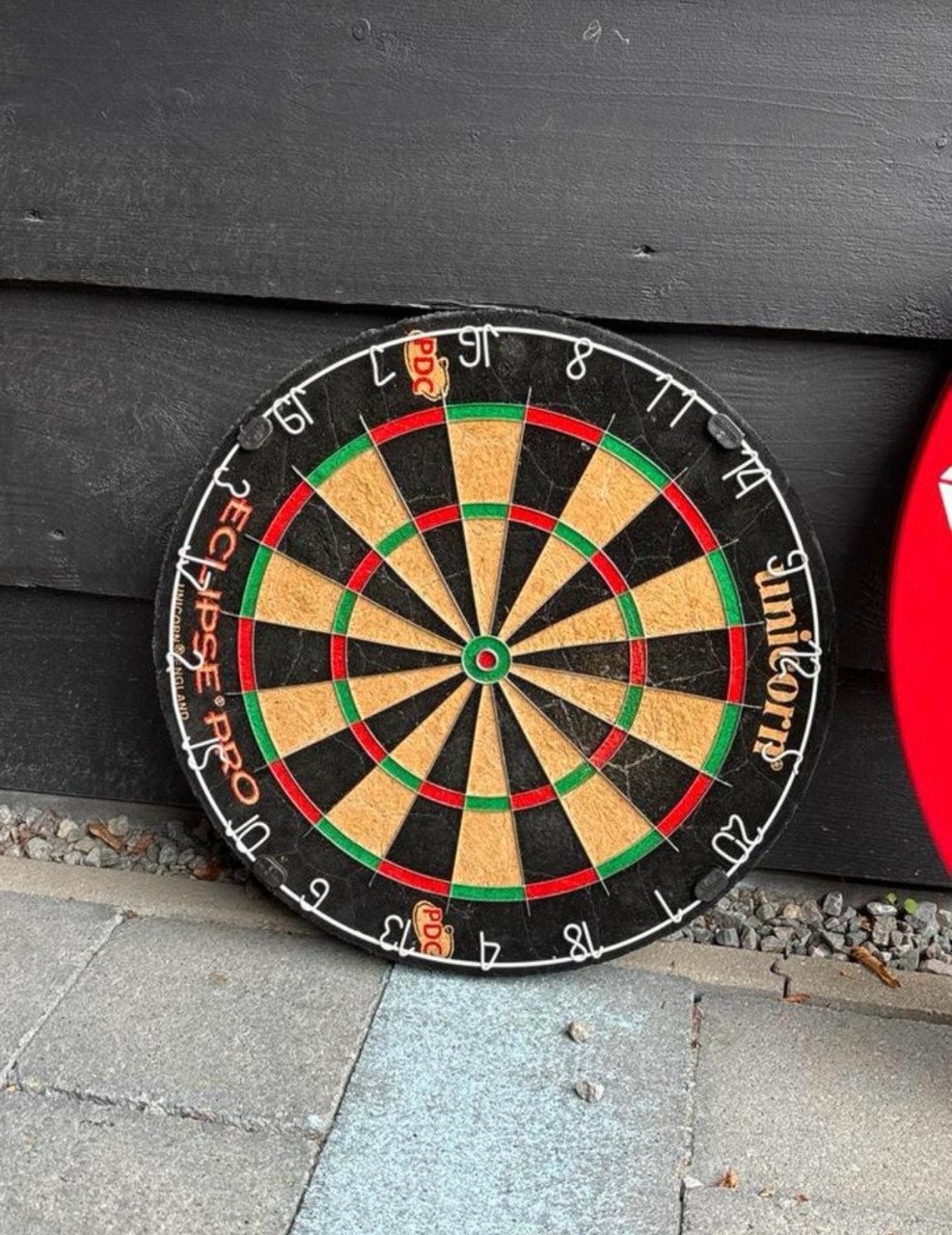 Dartbord inclusief bescherming rand