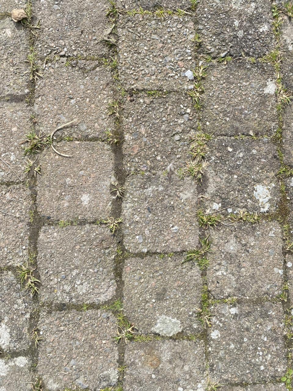 Koppelsteentjes 10m2, 10x10cm