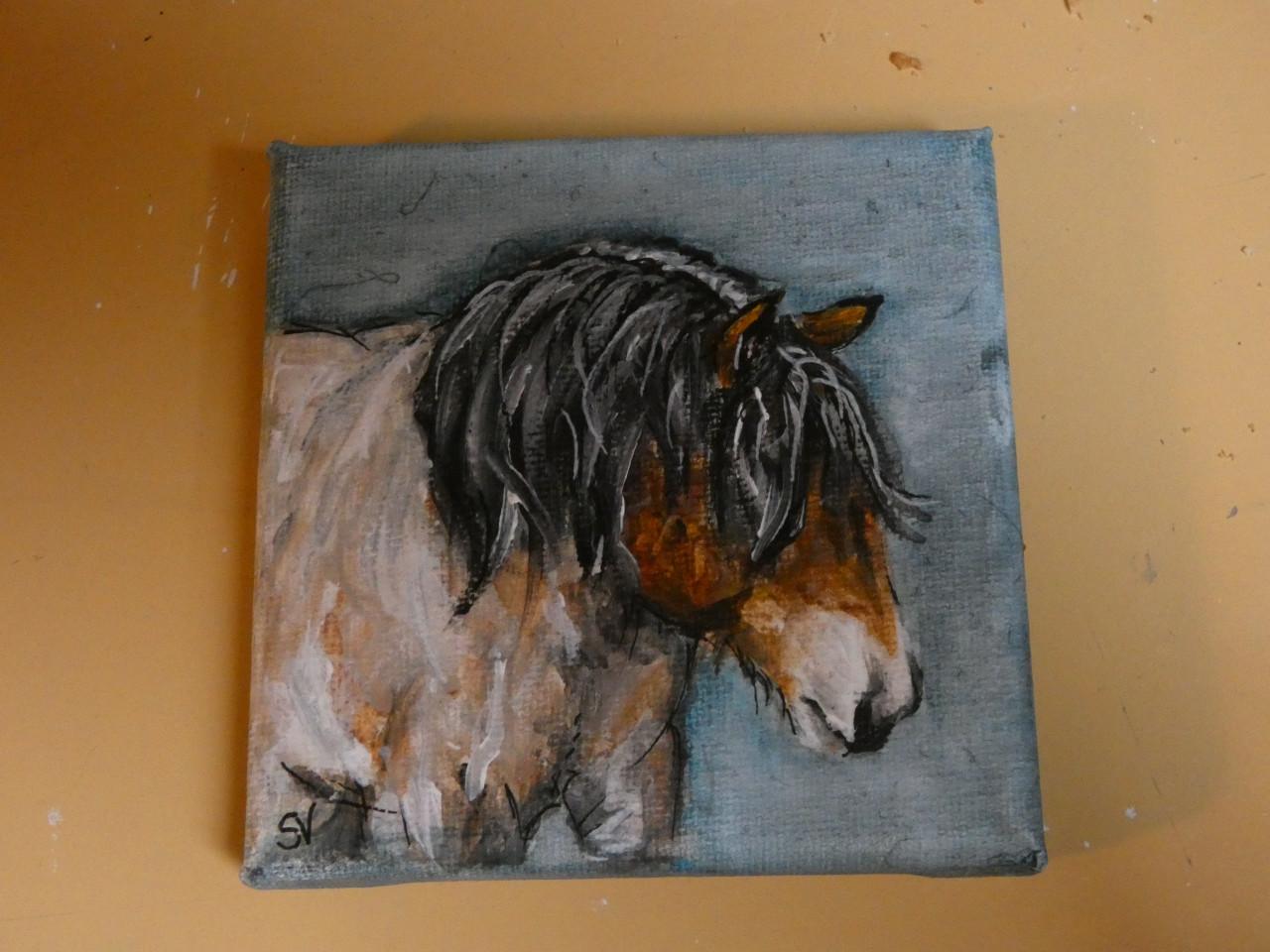 Aanbieding februari - schilderij van je paard of pony vanaf € 50,00