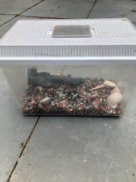 Aquarium, klein formaat 35x25x25