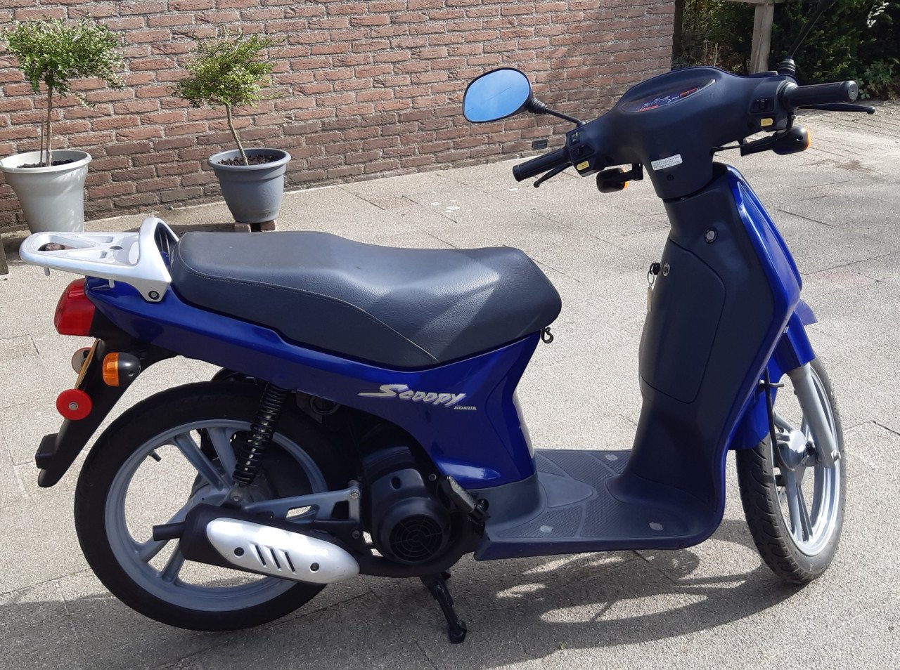 Honda Scoopy