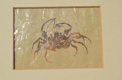 Schitterende oude Japanse tekeningen in passe-partout