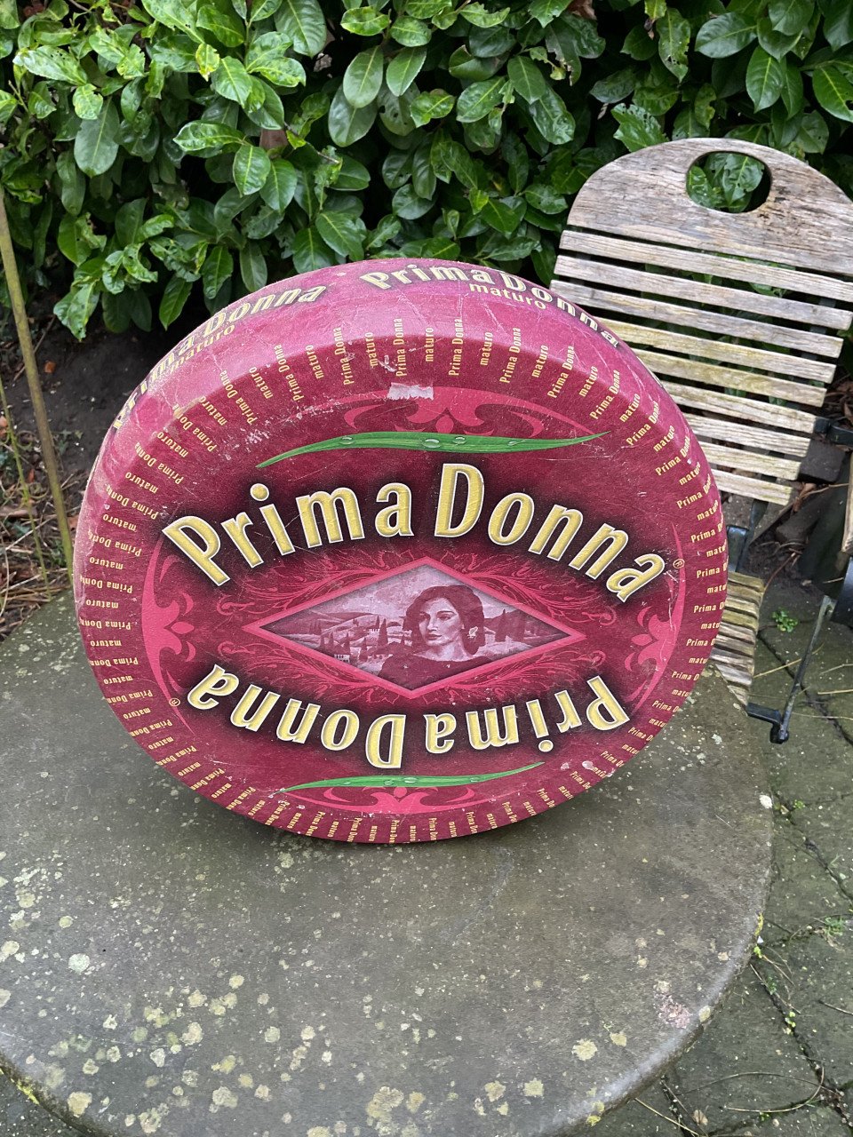 Prima Donna Kaasdummy