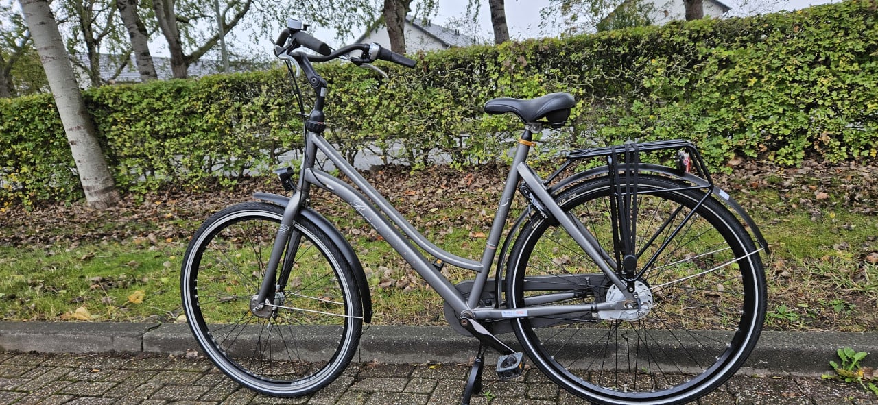 Cortina Roots Damesfiets 55 cm