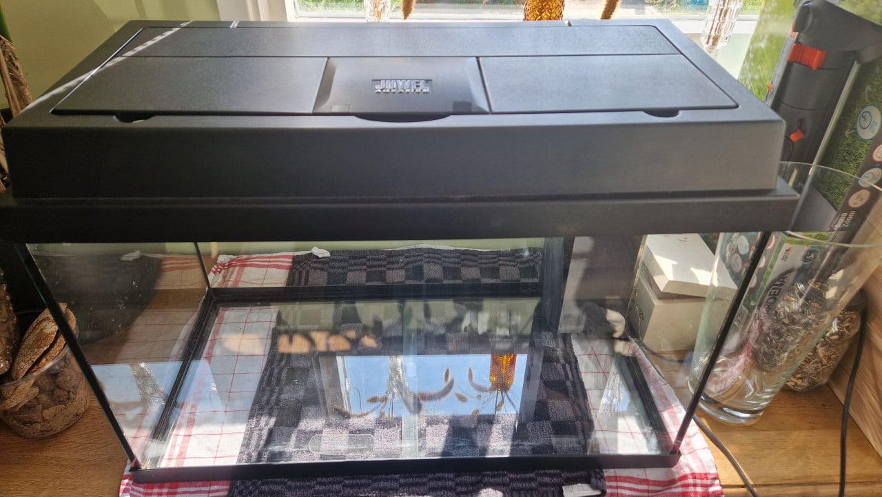 Aquarium juwel 60 liter