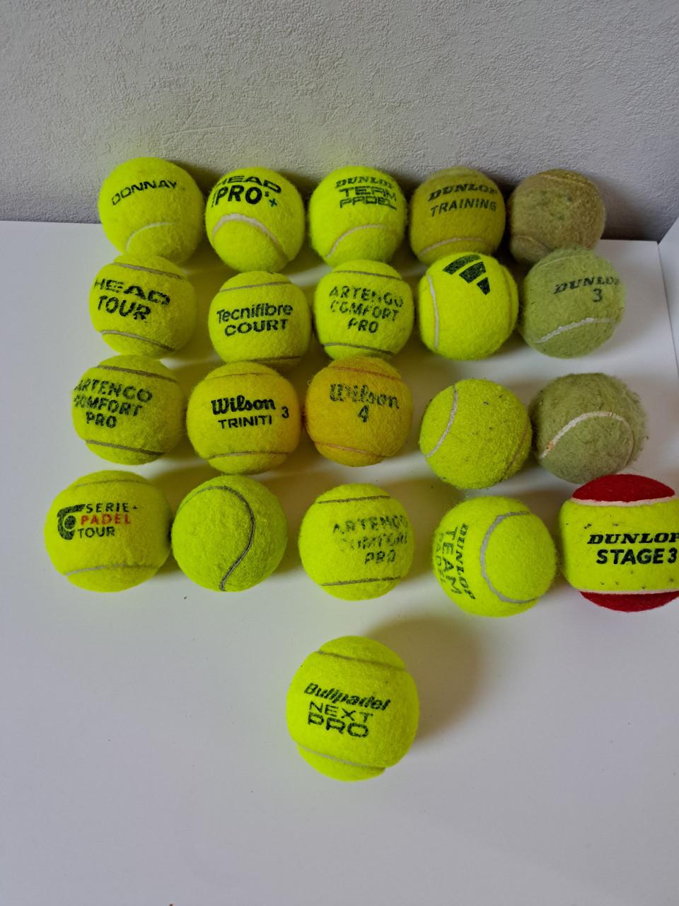 21 ballen voor de hond