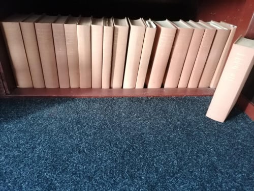 Het koninkrijk der Nederlanden in de 2e wereldoorlog