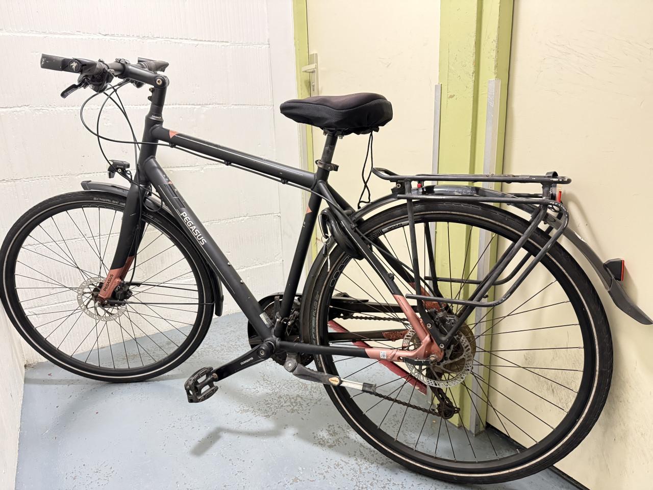 Sportieve Herenfiets Merk PEGASUS