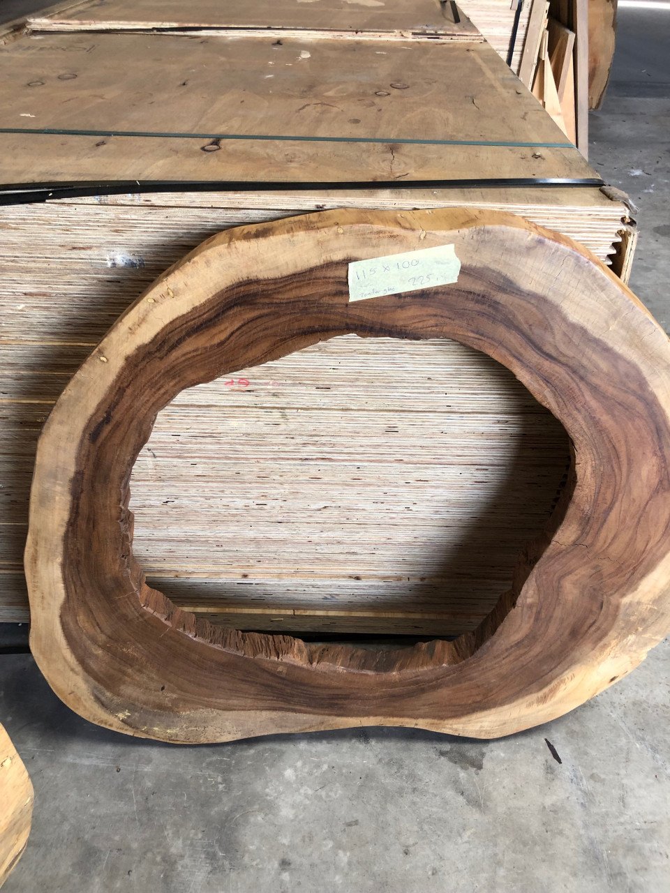 Groot suar boomstam blad 150 x 145, koffie gratis