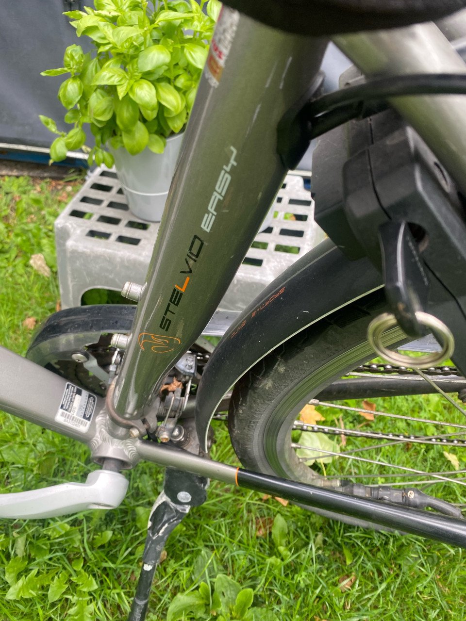 Elektrische Batavus Stevio Easy