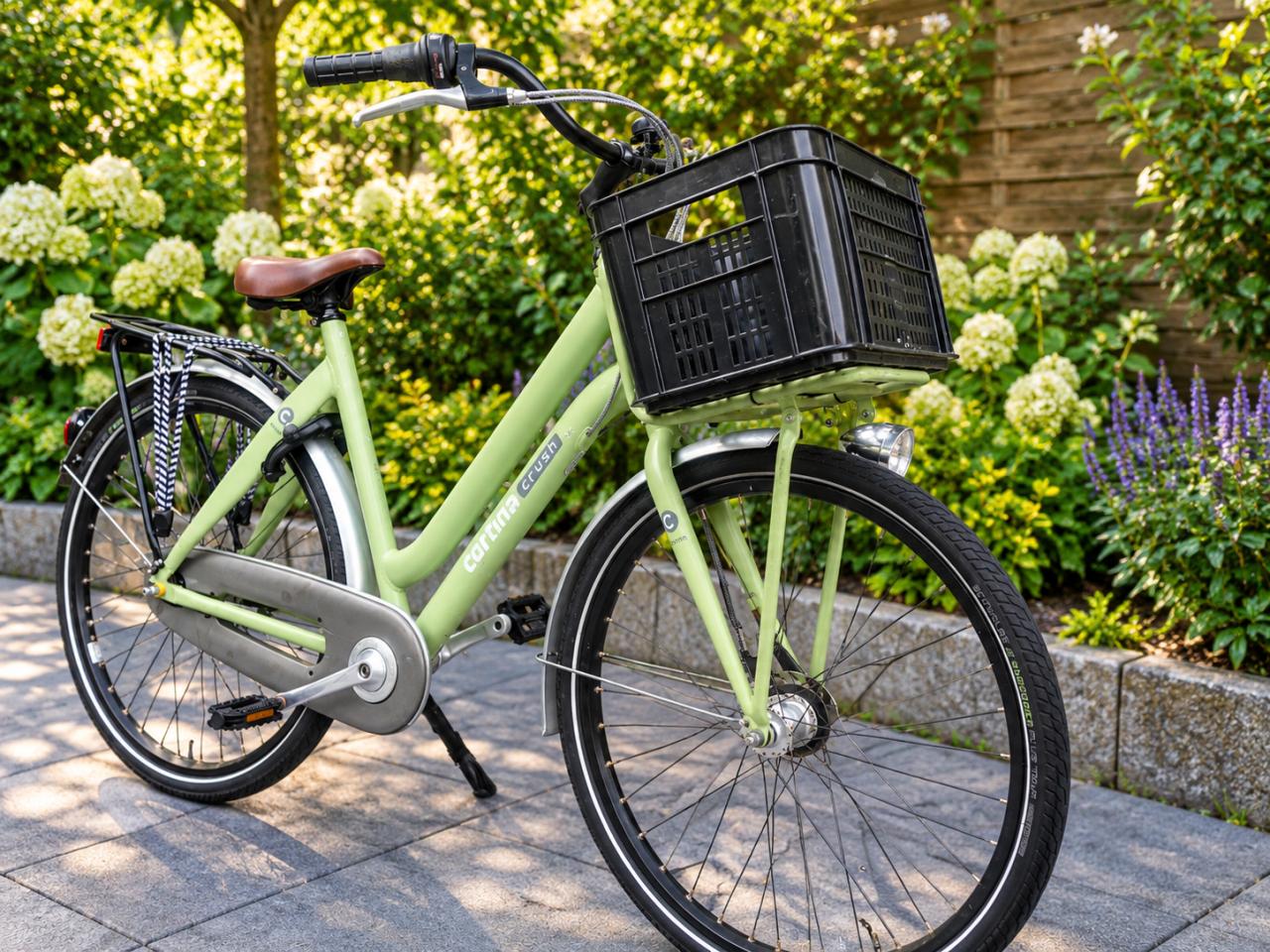 🚲 Cortina Crush Damesfiets 28 Inch | 7 Versnellingen | Frame 57