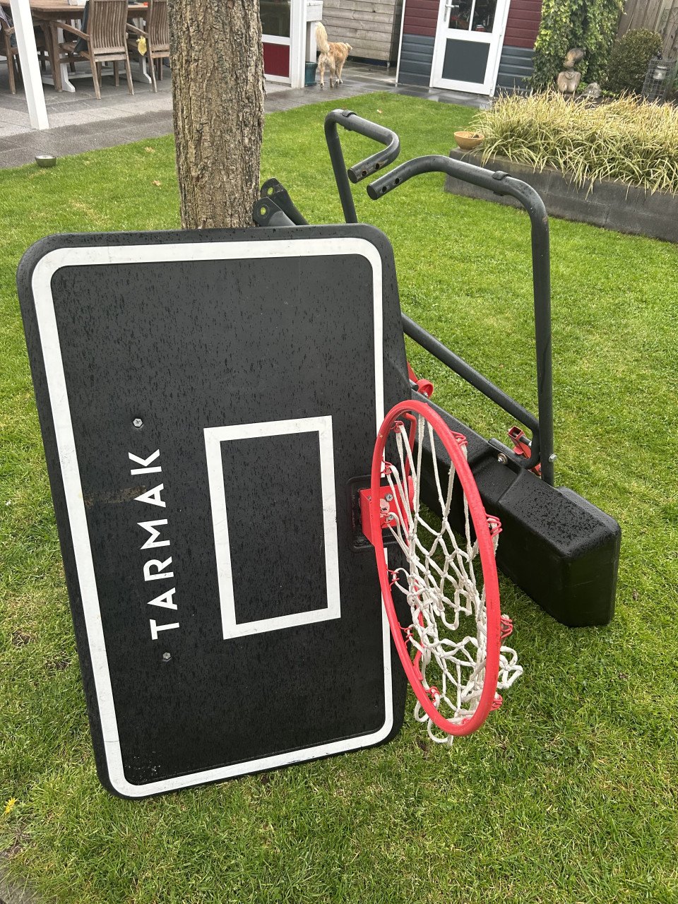 Basketbalkorf te koop