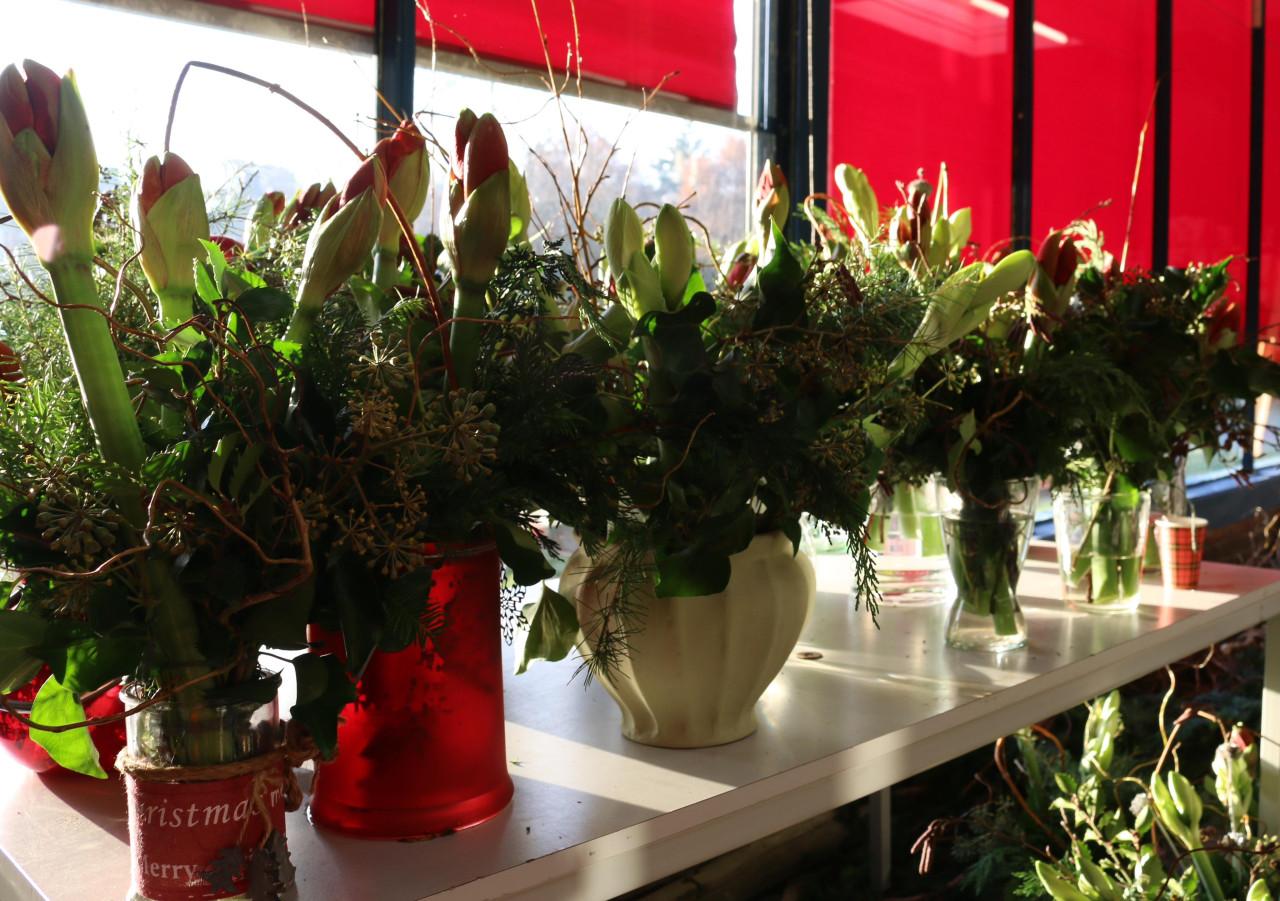 Kerst ontmoetingsfair Haamstede