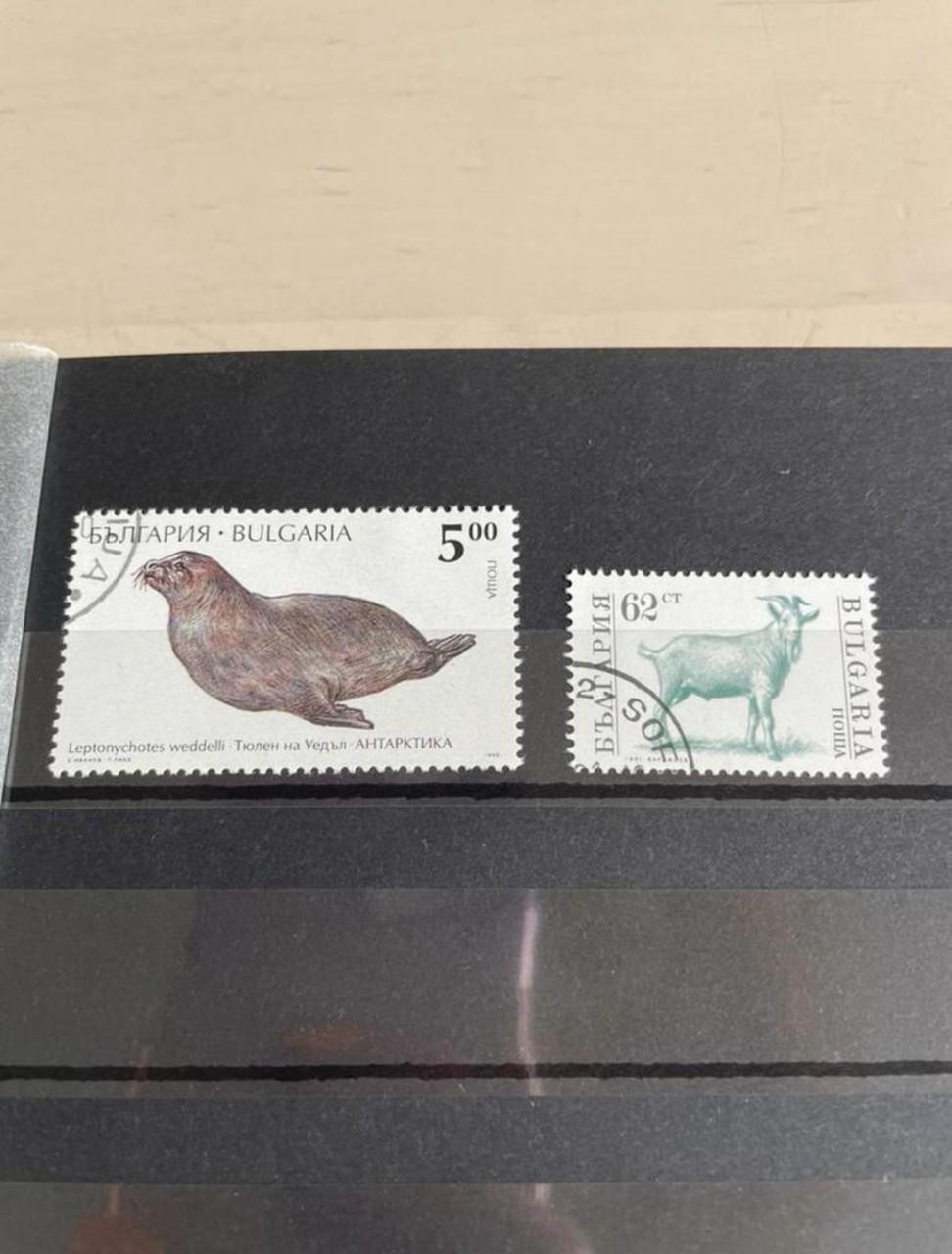 Bijzondere postzegel verzameling dieren internationaal
