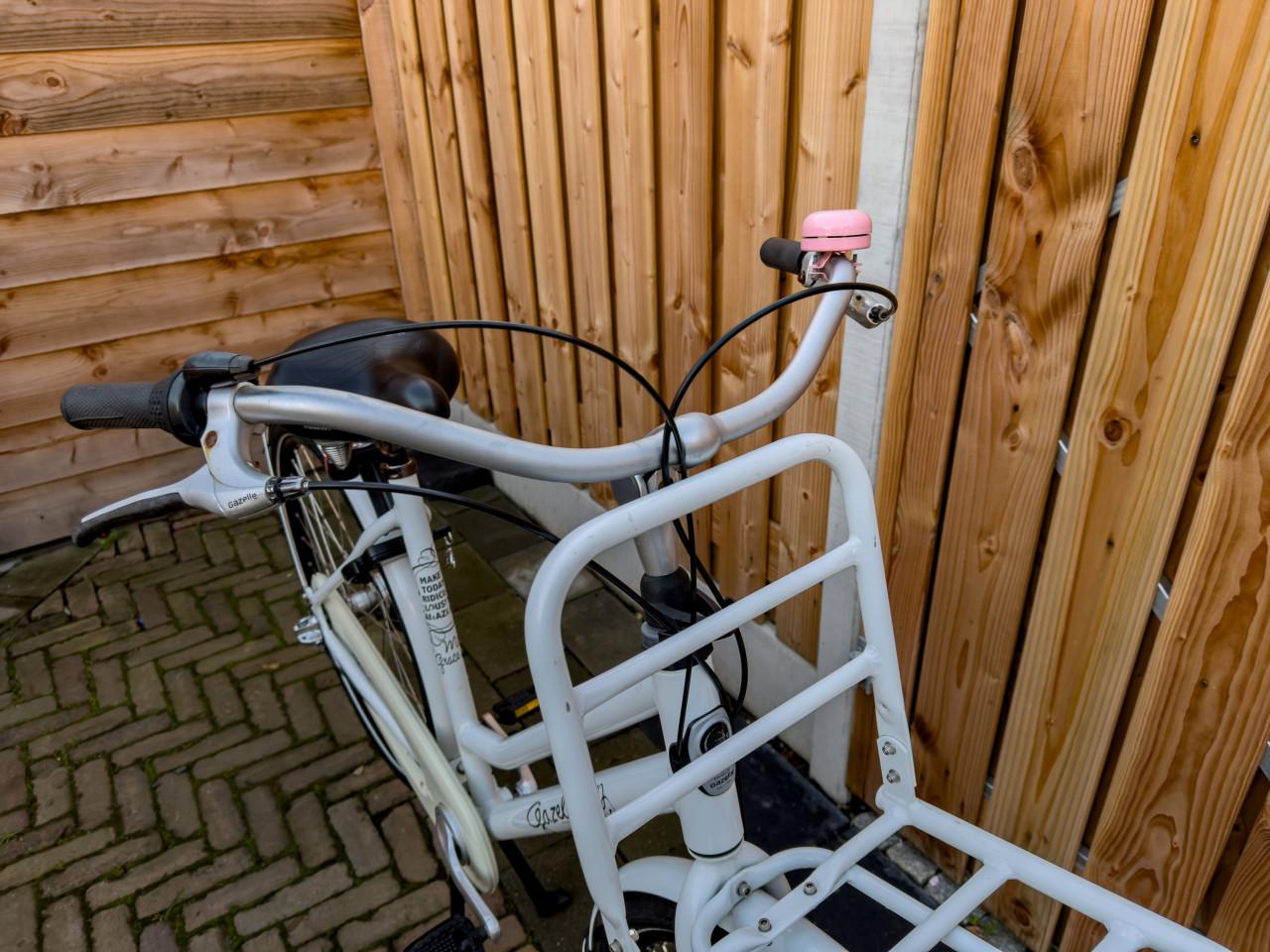 Gazelle Miss Grace damesfiets (54)