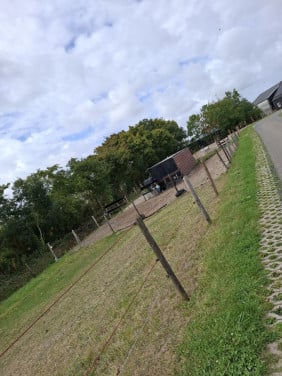 Wei  met stal te huur of te koop