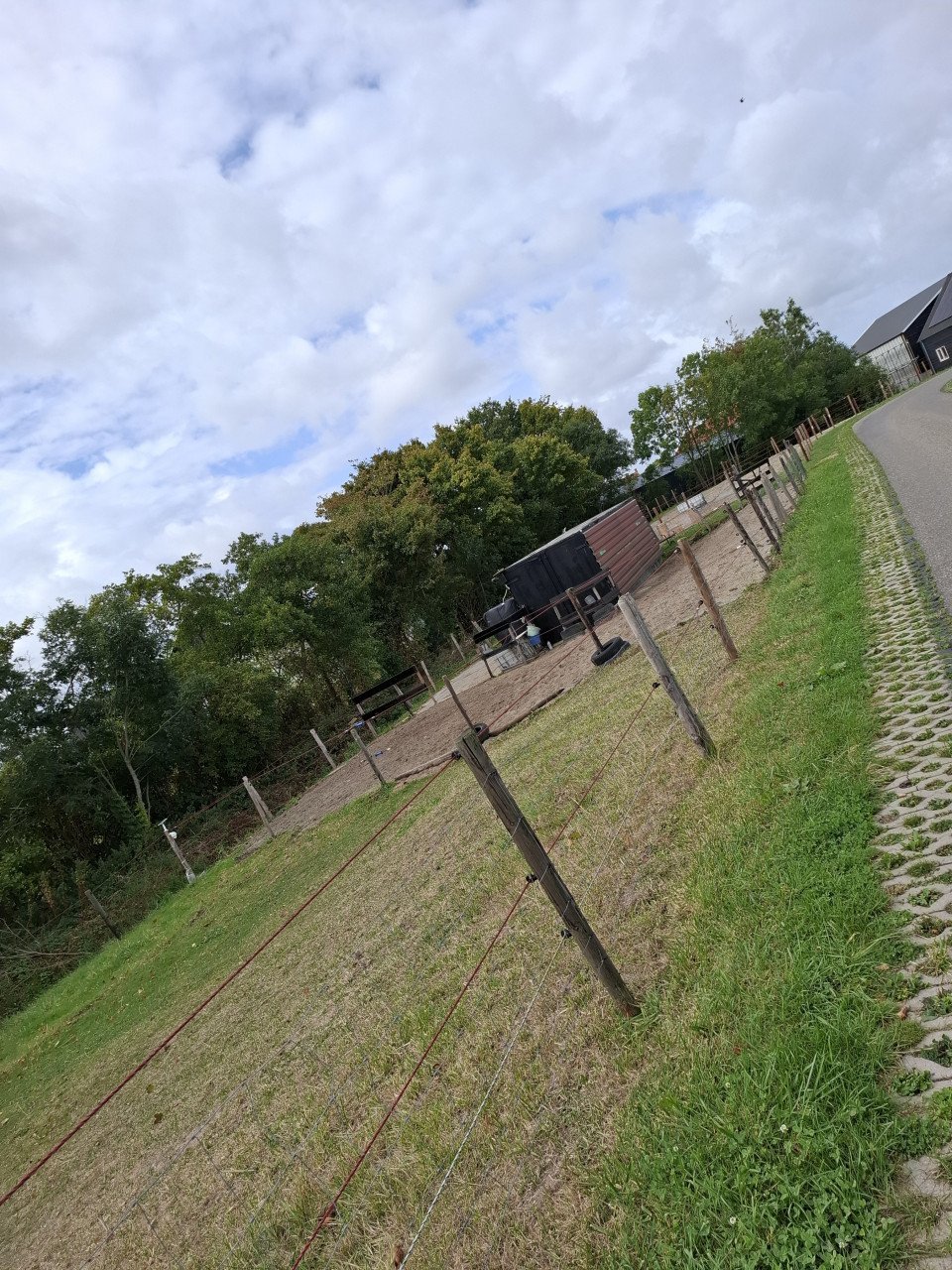 Wei  met stal te huur of te koop