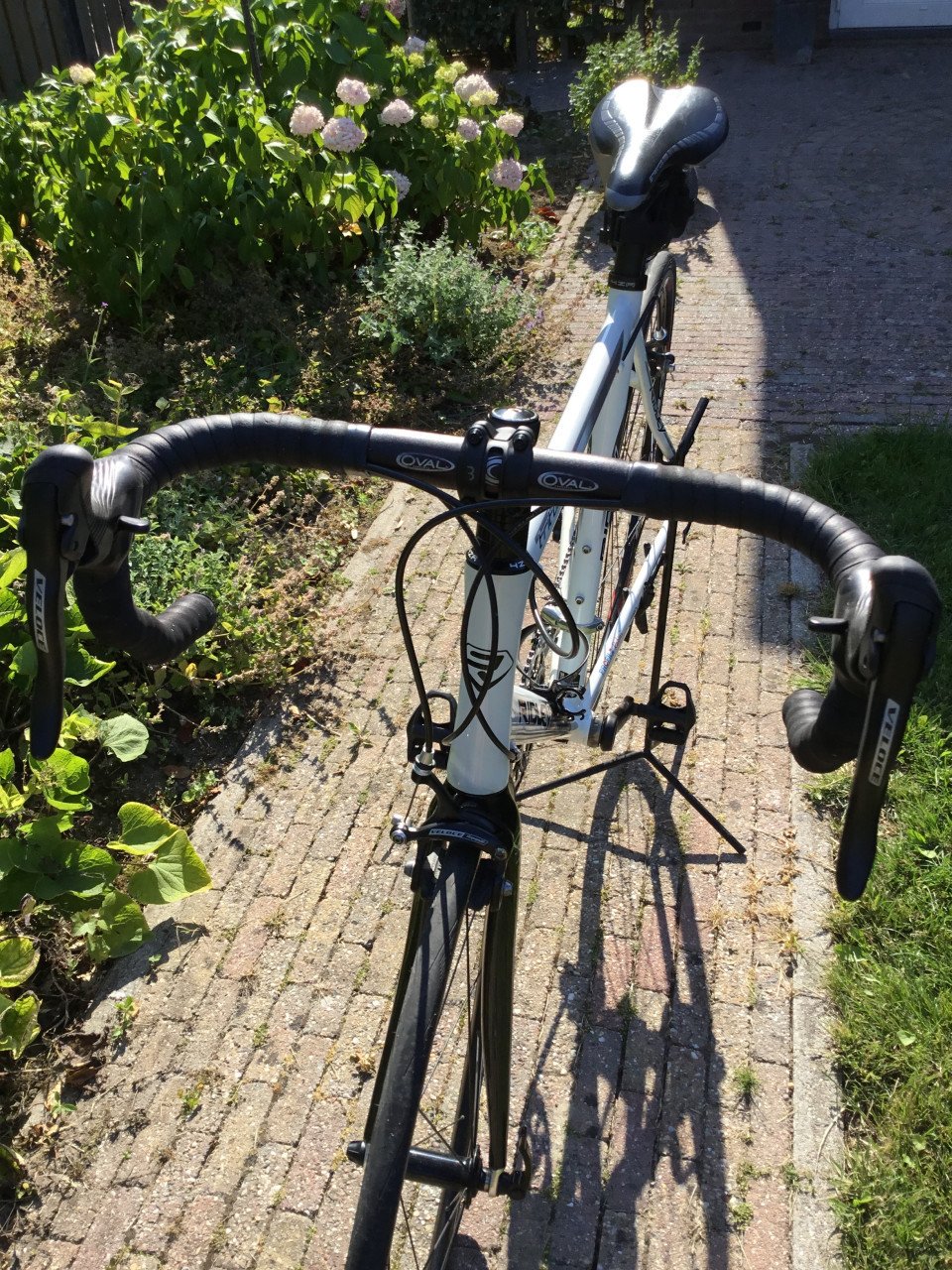 Ridley tritonS